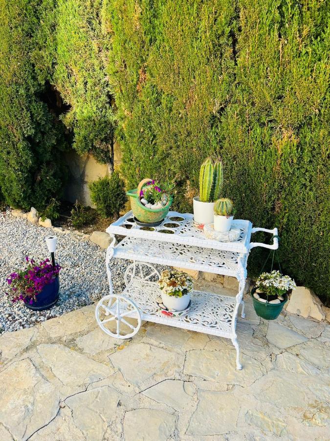 Villa Balcon Al Mar خافييا المظهر الخارجي الصورة